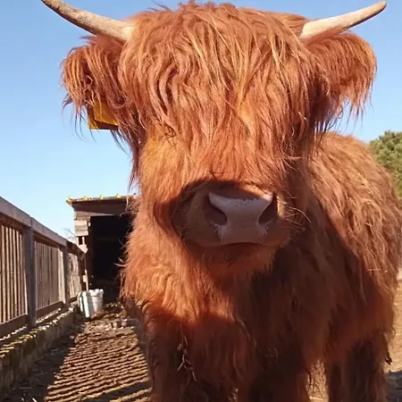 Séjour à la ferme Zio Zac Torre Pali