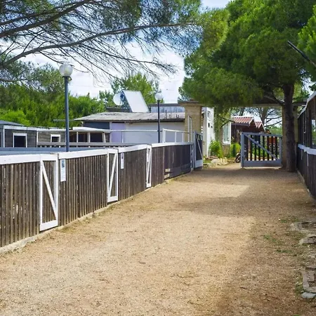 Zio Zac Séjour à la ferme *